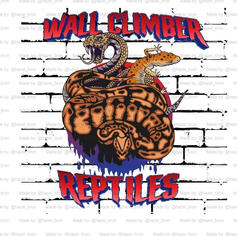 Wall Climber Reptiles